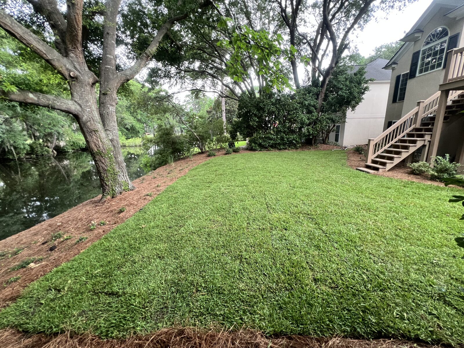 Freshly cut lawn