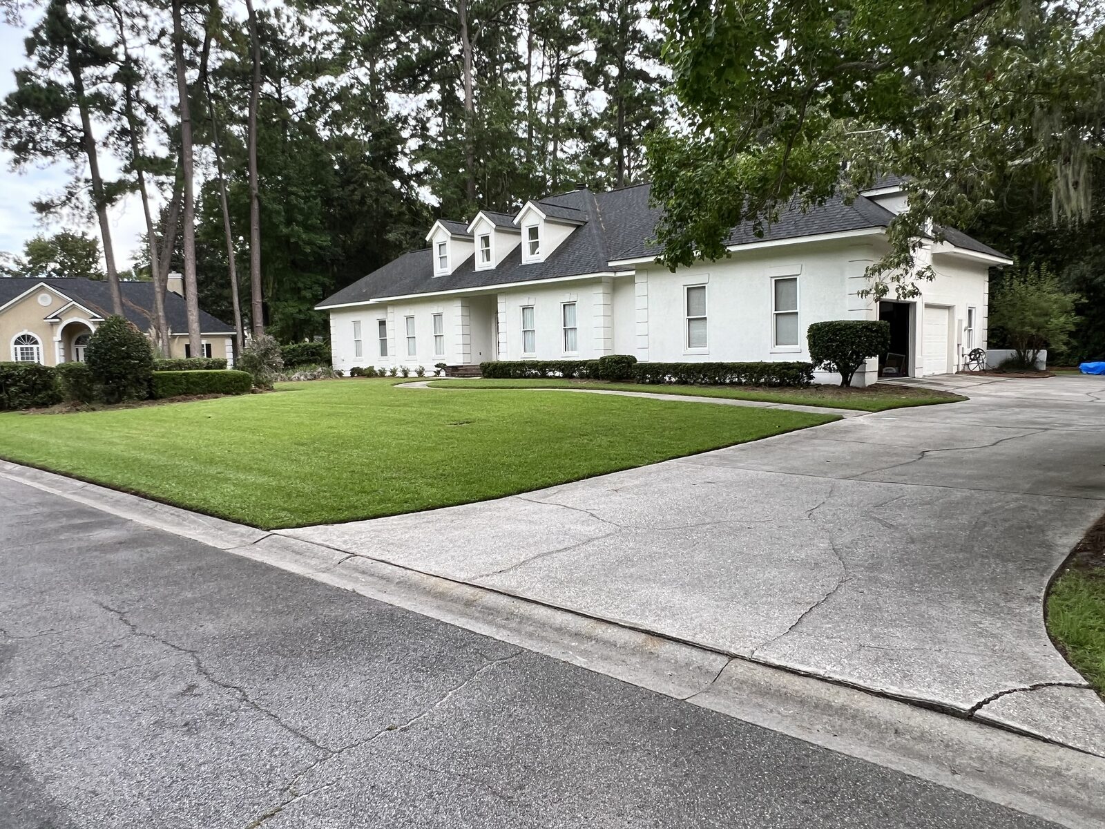 Freshly cut lawn